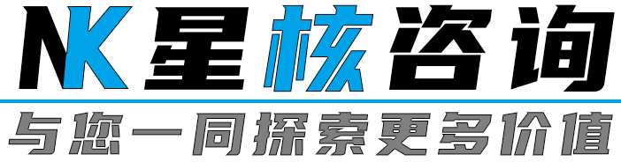 星核咨询